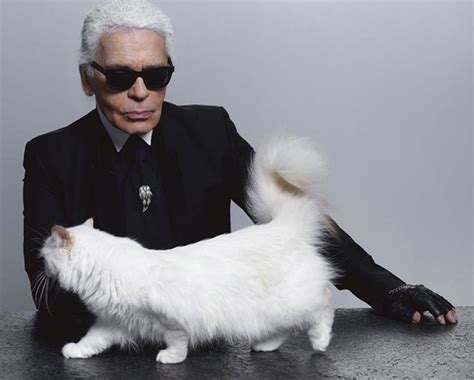 Karl Lagerfeld: Designer's cat Choupette 'named in his will' 